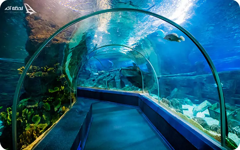 دیدنی های کیش مناسب برای کودکان